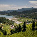 Boseong Green Tea Fields - AllesoverKorea.nl